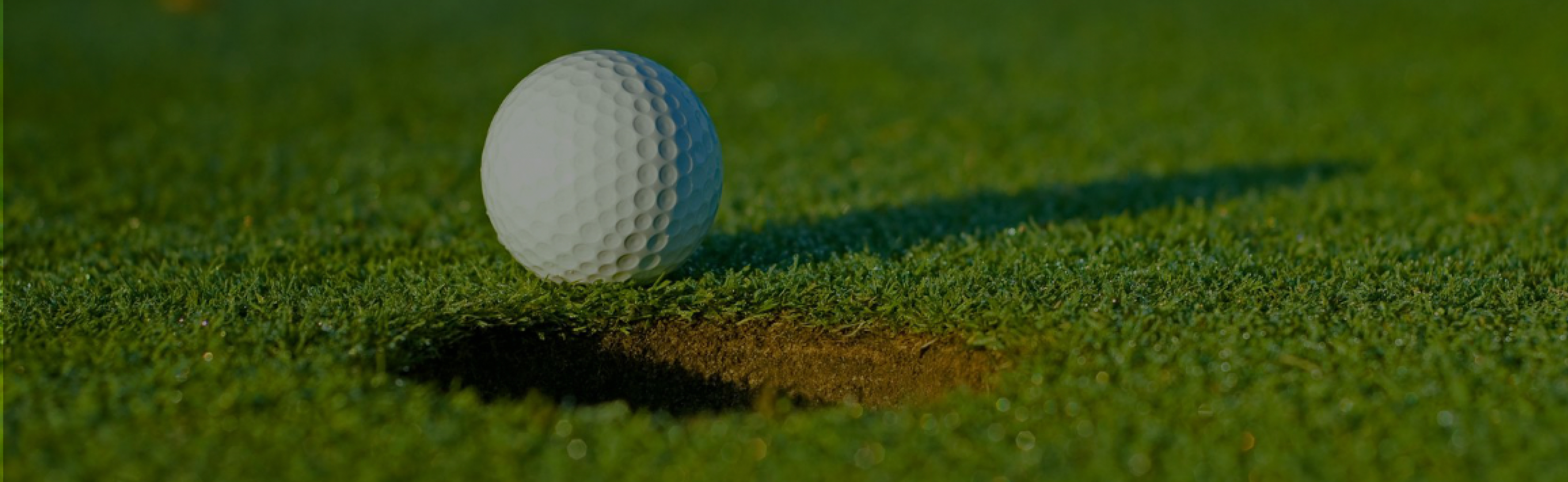 Golfbal naast hole op grasveld