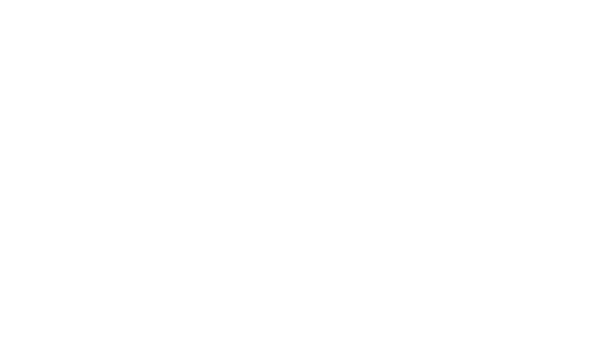 NL actief