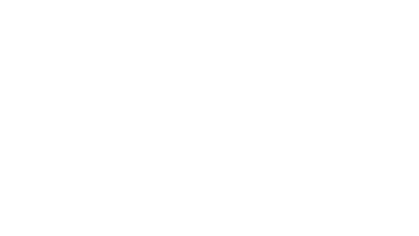 Logo Nl actief